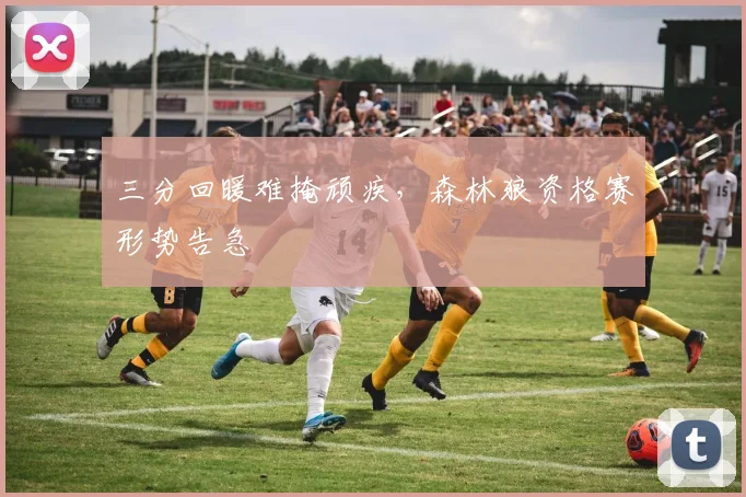 三分回暖难掩顽疾，森林狼资格赛形势告急