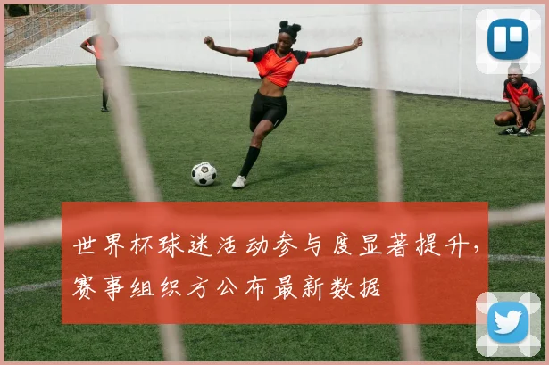 世界杯球迷活动参与度显著提升，赛事组织方公布最新数据