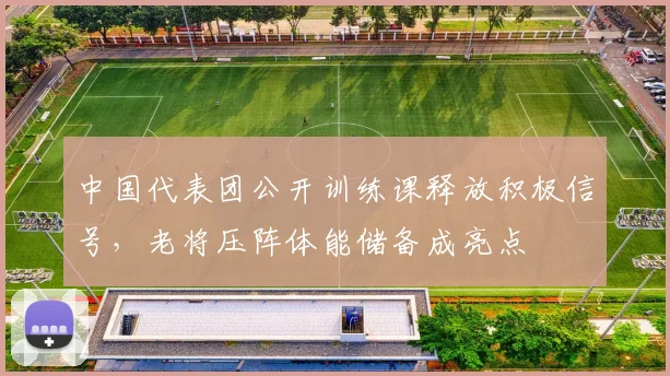 中国代表团公开训练课释放积极信号，老将压阵体能储备成亮点