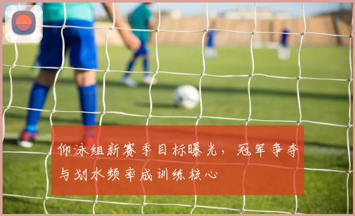 仰泳组新赛季目标曝光，冠军争夺与划水频率成训练核心