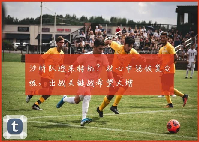 沙特队迎来转机？核心中场恢复合练，出战关键战希望大增