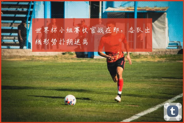 世界杯小组赛收官战在即，各队出线形势扑朔迷离